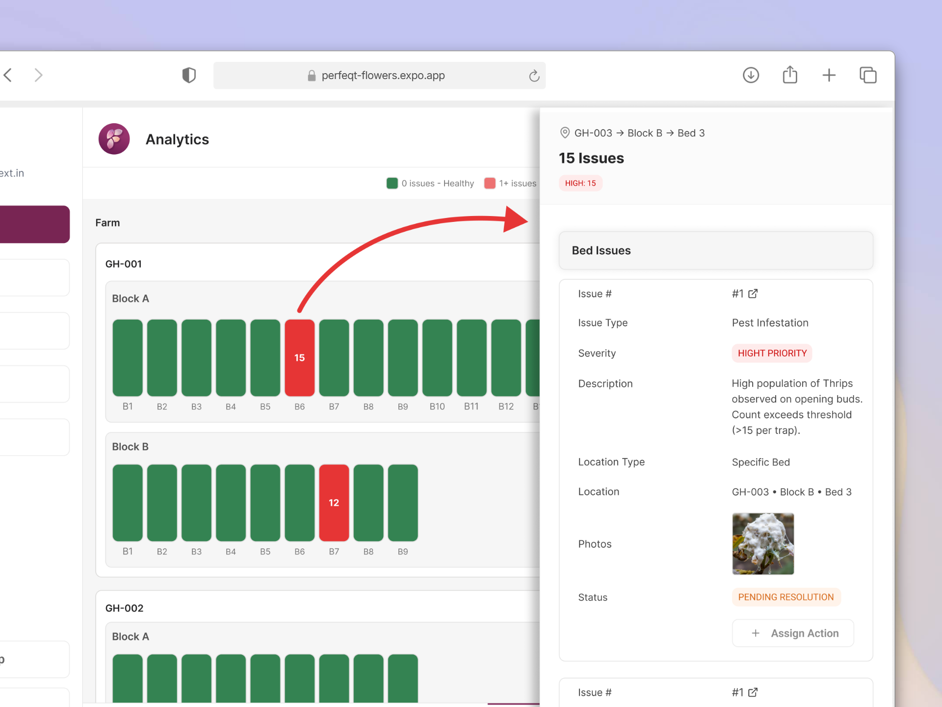 Perfeqt Flowers Analytics Dashboard